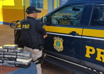 Quase 20 kg de cocaína são encontrados em caminhão após flagra de transporte de madeira ilegal no PI