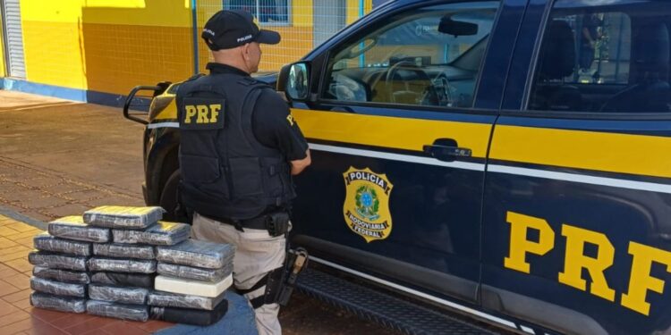 Quase 20 kg de cocaína são encontrados em caminhão após flagra de transporte de madeira ilegal no PI