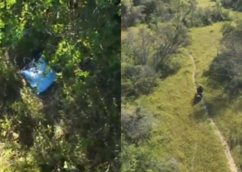 Corpo é achado em mata no PI e pode ser de idoso que desapareceu após sair para colher cascas de árvores, diz polícia