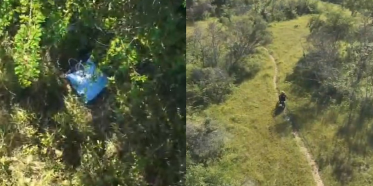 Corpo é achado em mata no PI e pode ser de idoso que desapareceu após sair para colher cascas de árvores, diz polícia