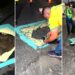 Vídeo: moradores pintam bandeira do Brasil em buracos de Teresina: 'uma forma de protesto'