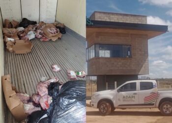 Quase 850 kg de carne de boi vencida são apreendidos em caminhão sem refrigeração no PI