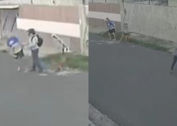 Idoso e cachorro são atacados com socos e chutes por motociclista durante passeio em Teresina; veja vídeo