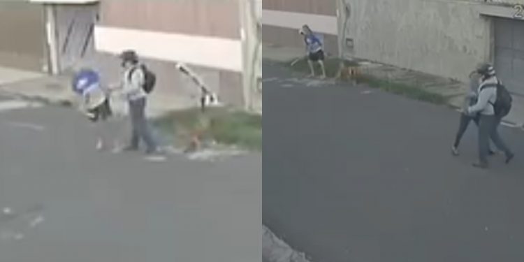 Idoso e cachorro são atacados com socos e chutes por motociclista durante passeio em Teresina; veja vídeo